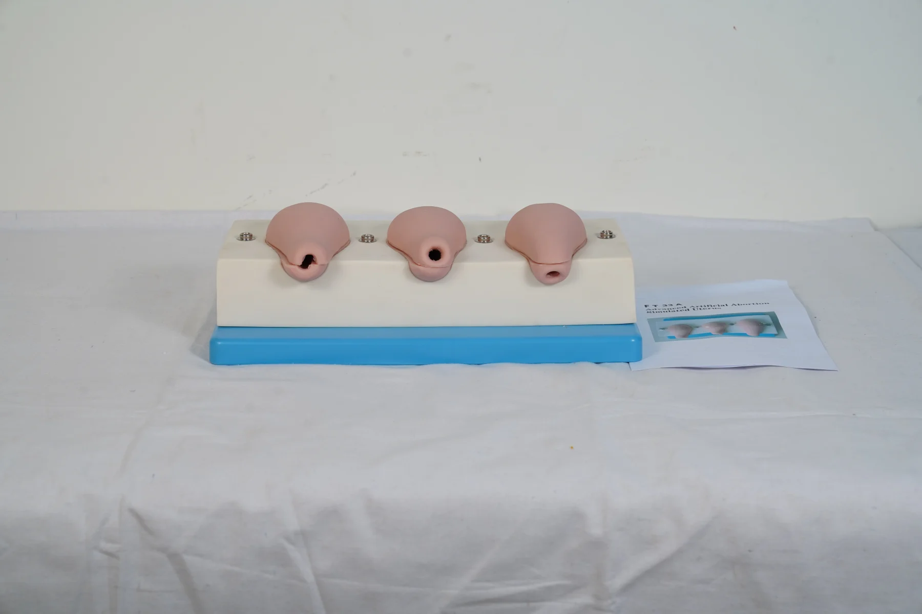 Advanced Artificial Abortion Simulated Uterus thumbnail 6
