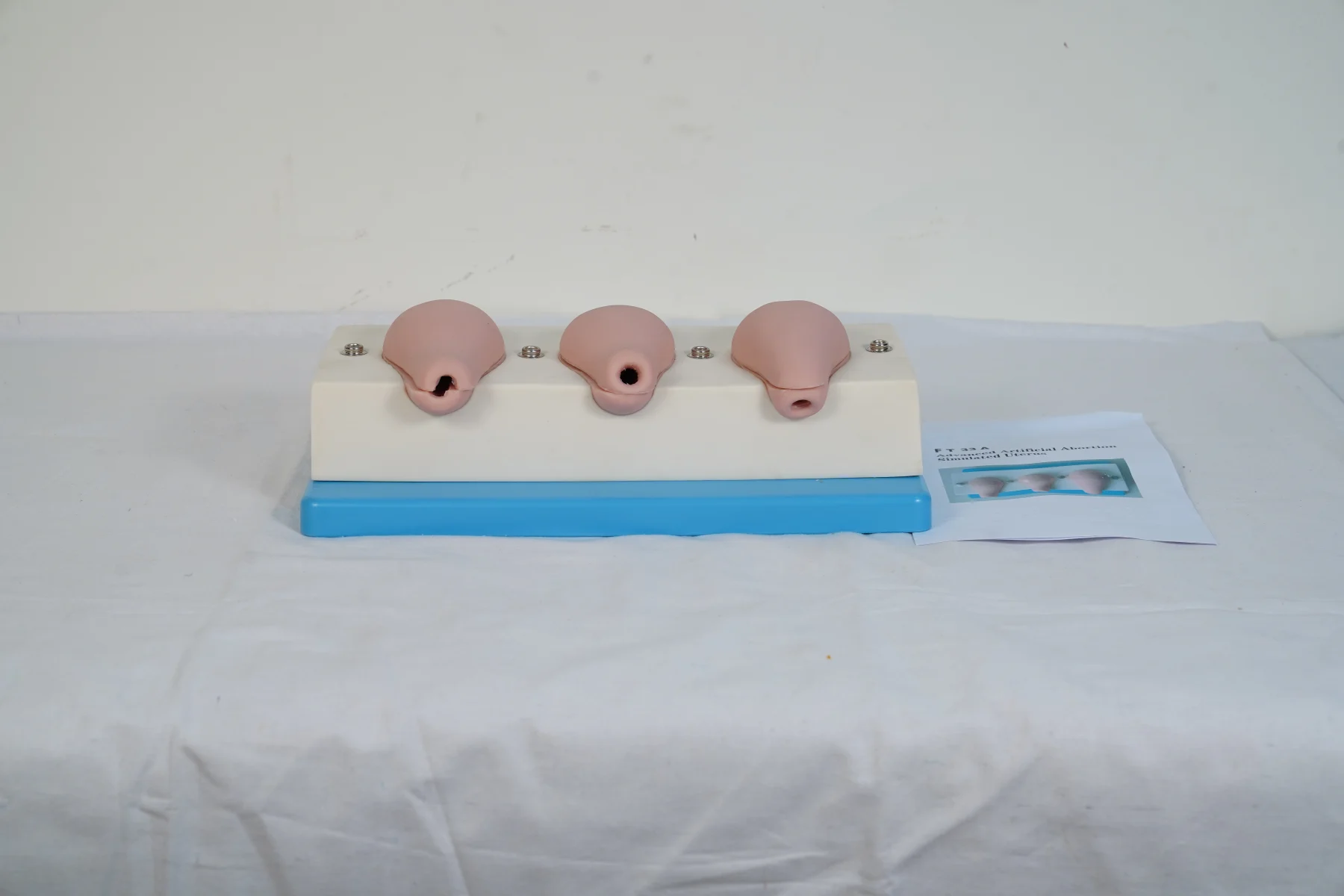 Advanced Artificial Abortion Simulated Uterus