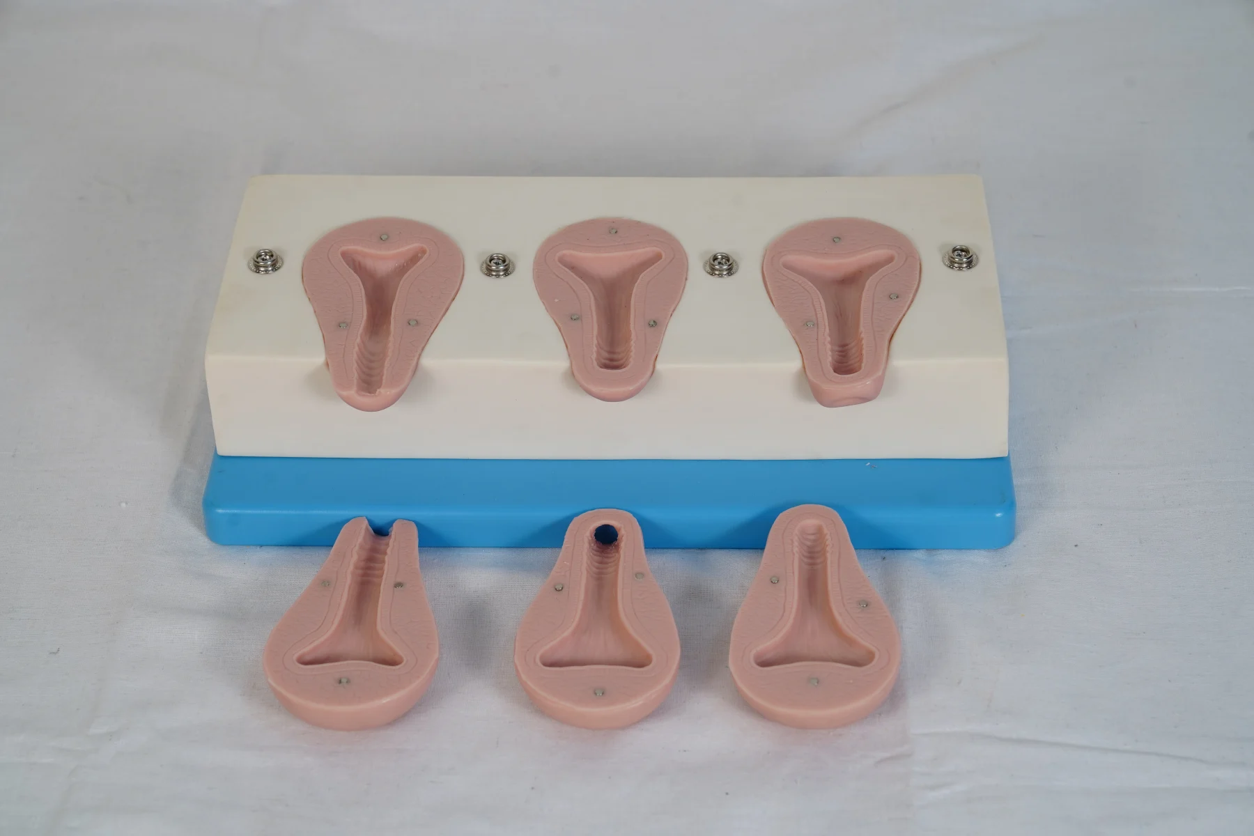 Advanced Artificial Abortion Simulated Uterus thumbnail 3
