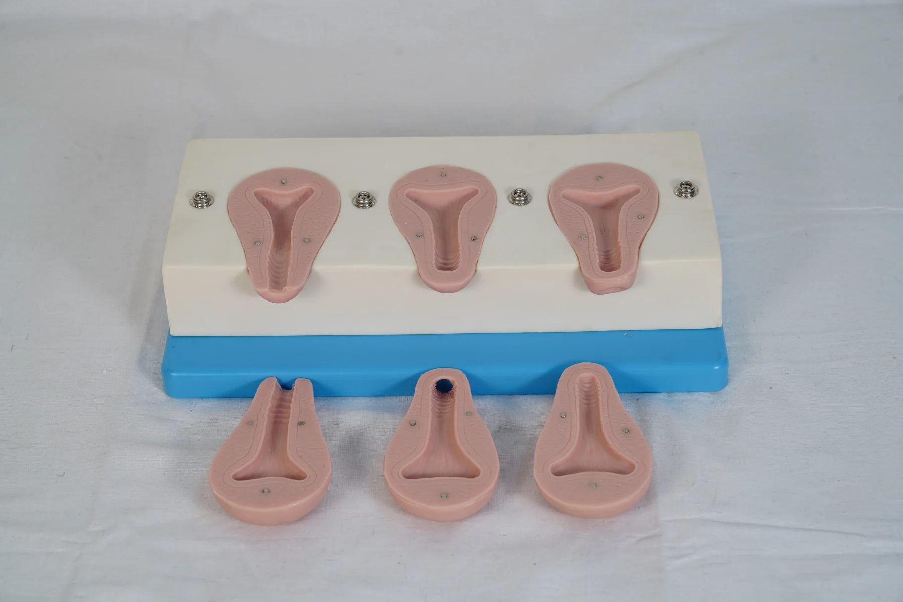 Advanced Artificial Abortion Simulated Uterus thumbnail 4