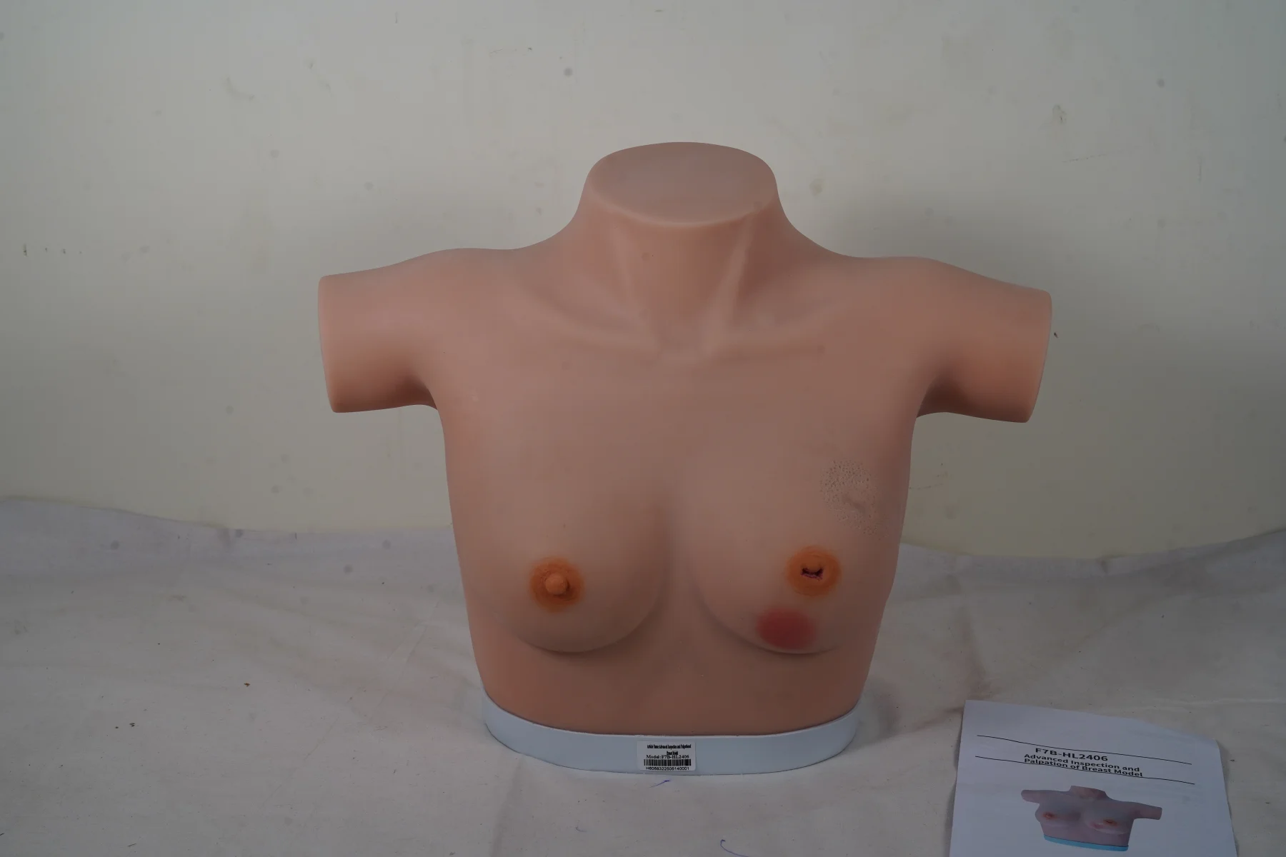 Advanced Inspection and Palpation of Breast Model thumbnail 4