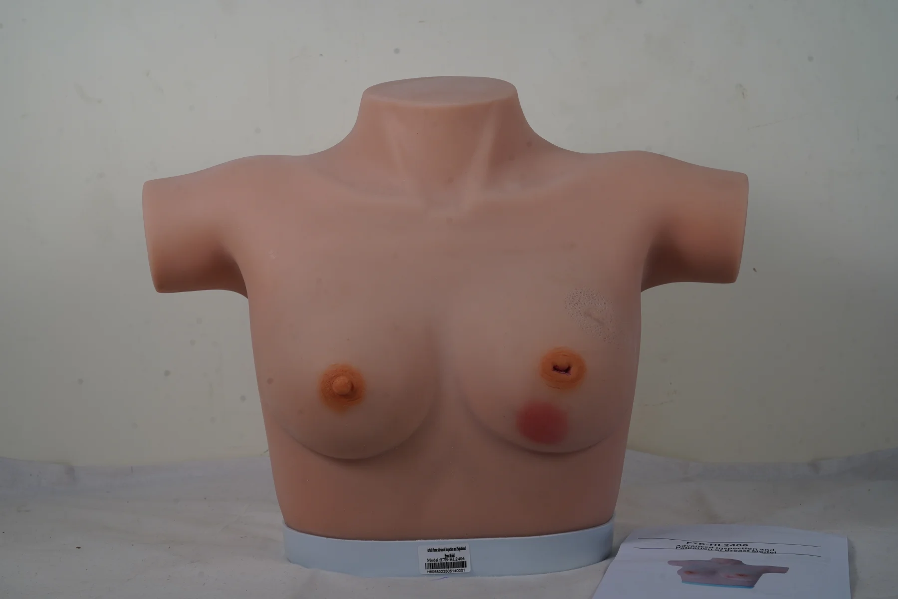 Advanced Inspection and Palpation of Breast Model thumbnail 3