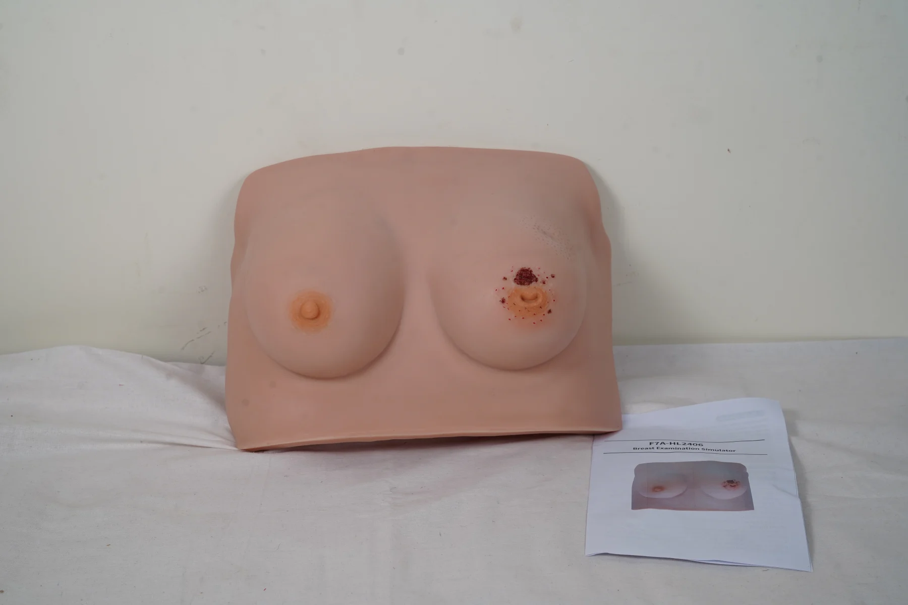 Breast Examination Simulator thumbnail 5