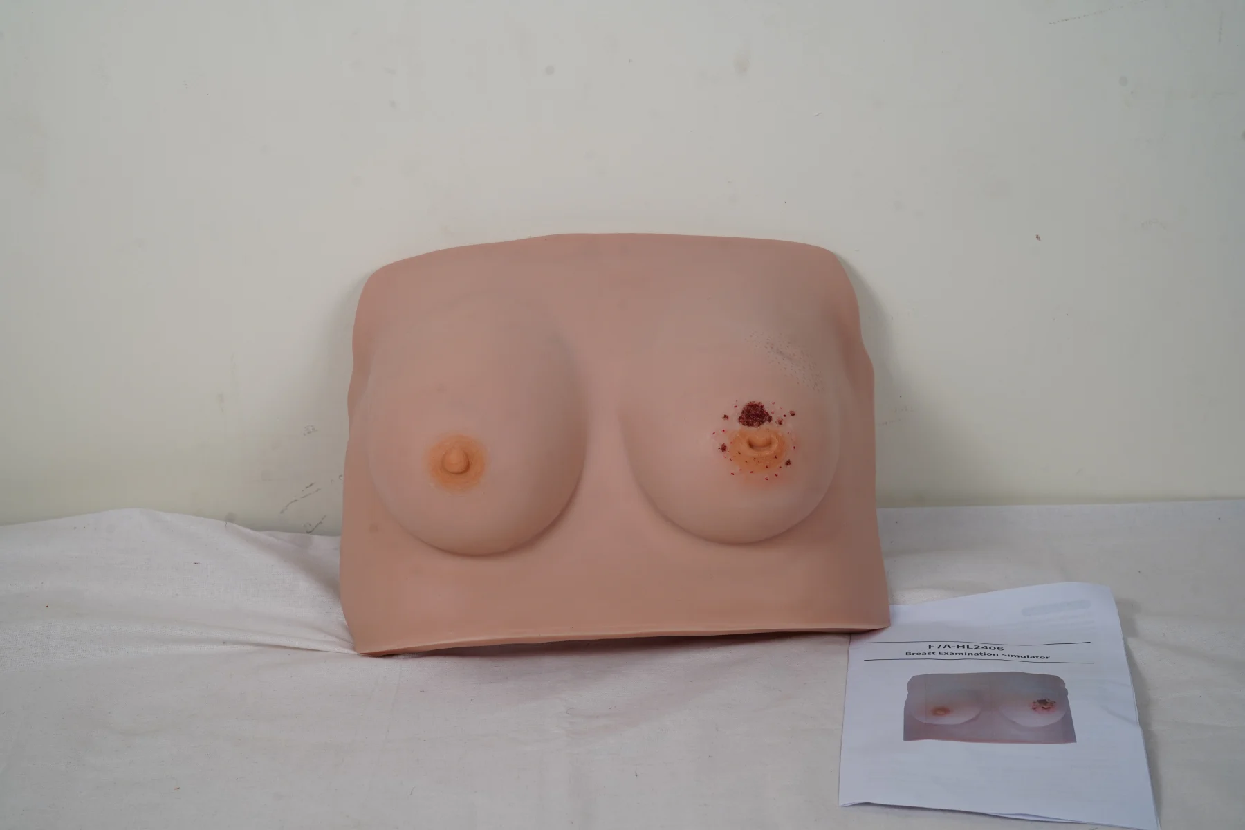 Breast Examination Simulator