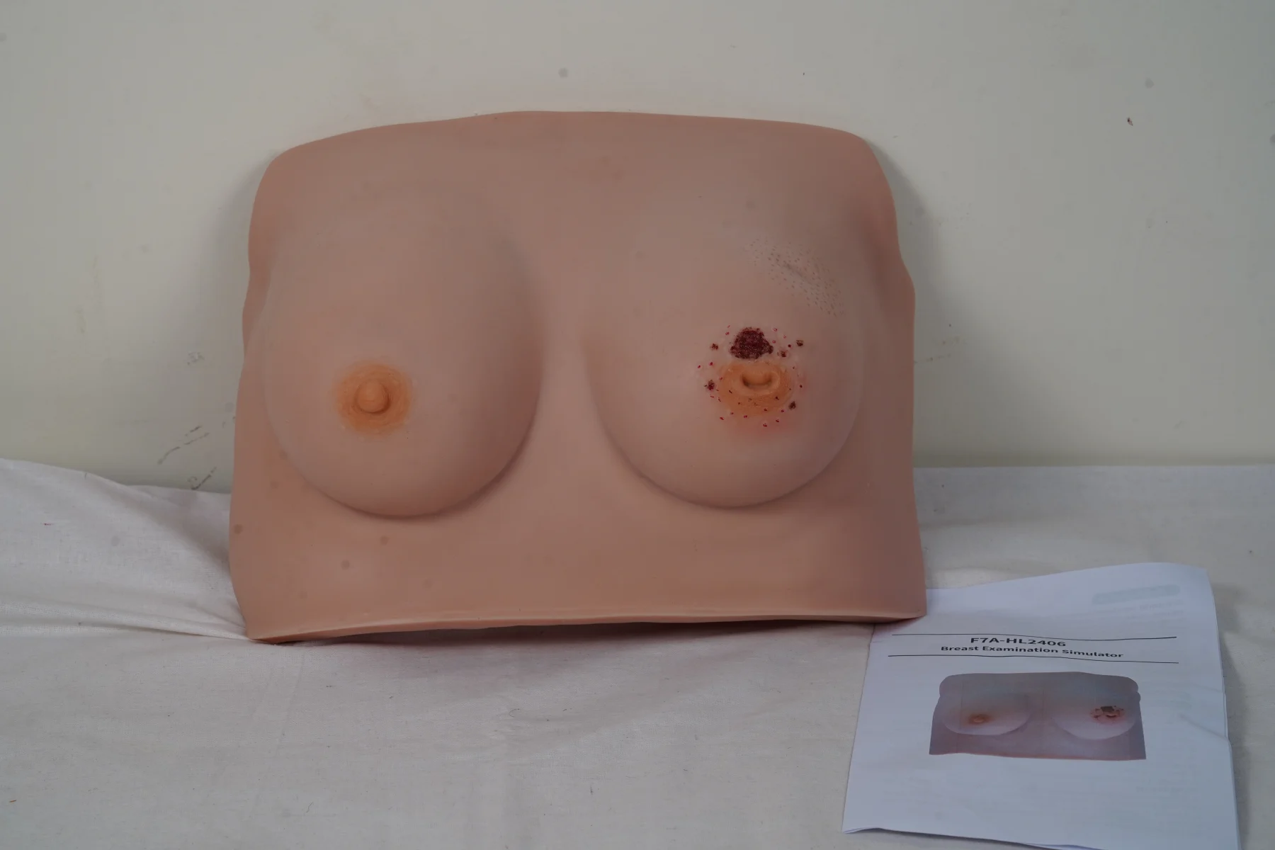 Breast Examination Simulator thumbnail 4