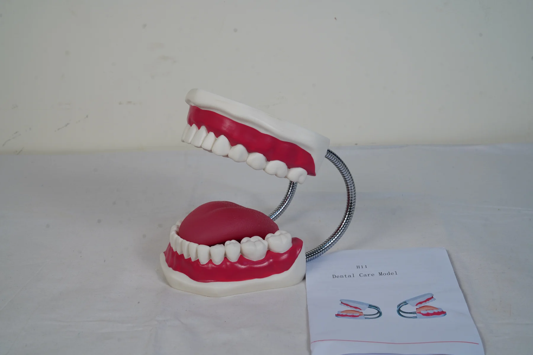 Dental Care Model