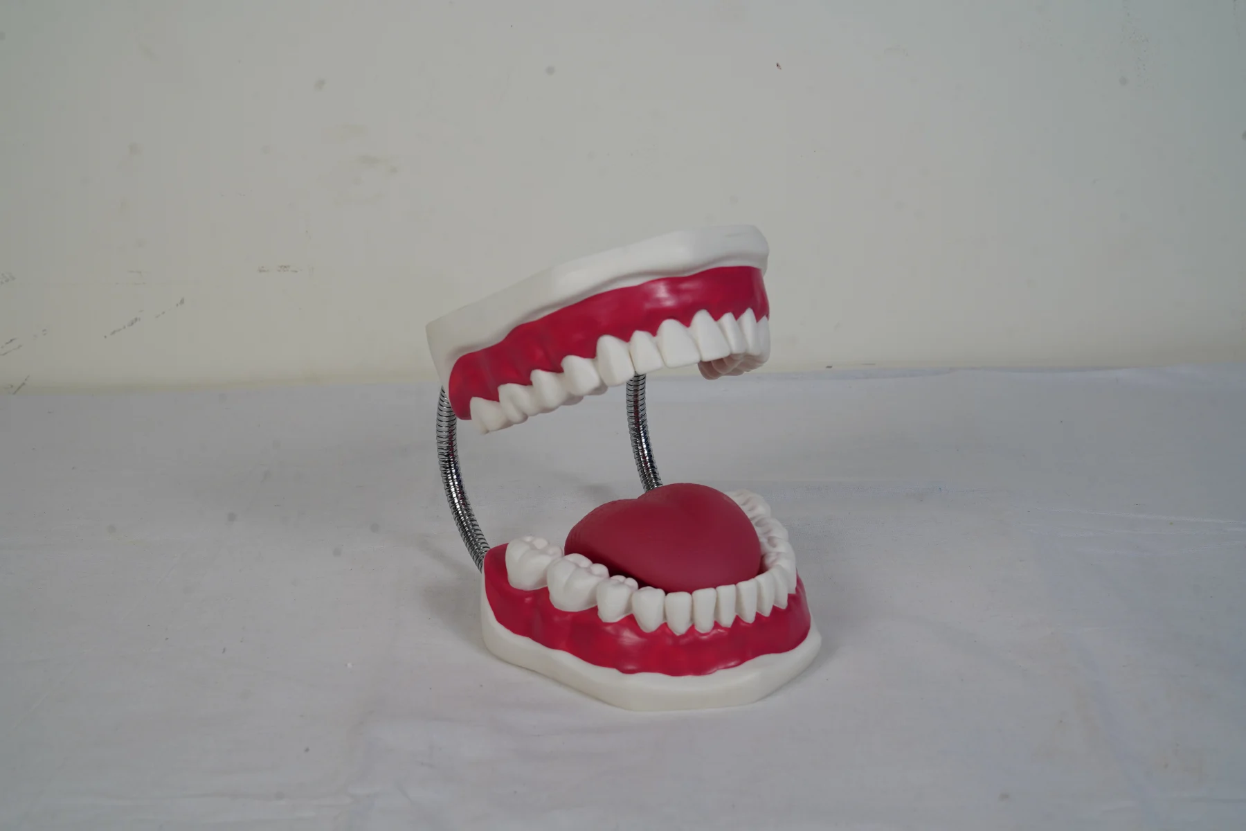 Dental Care Model thumbnail 2