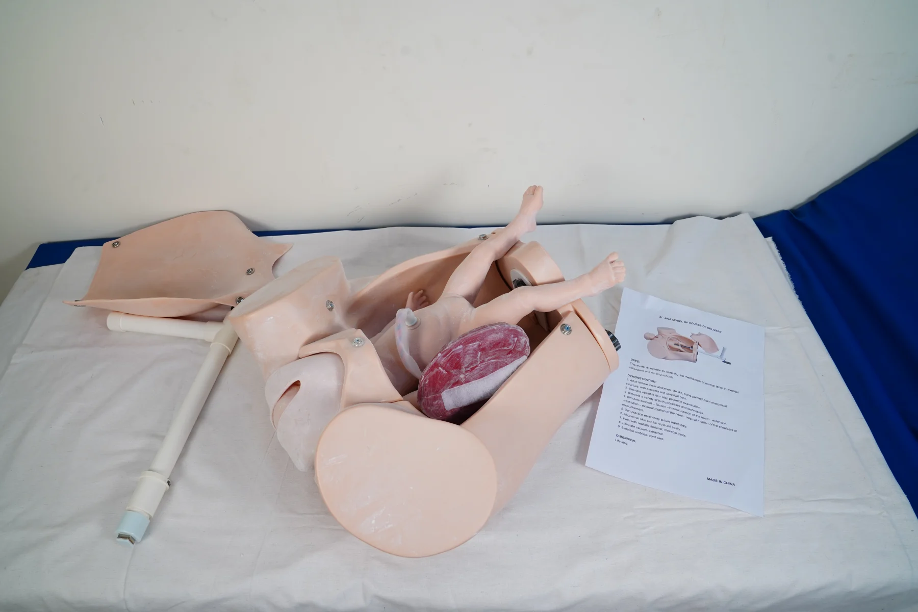 Model of Course of Delivery thumbnail 5