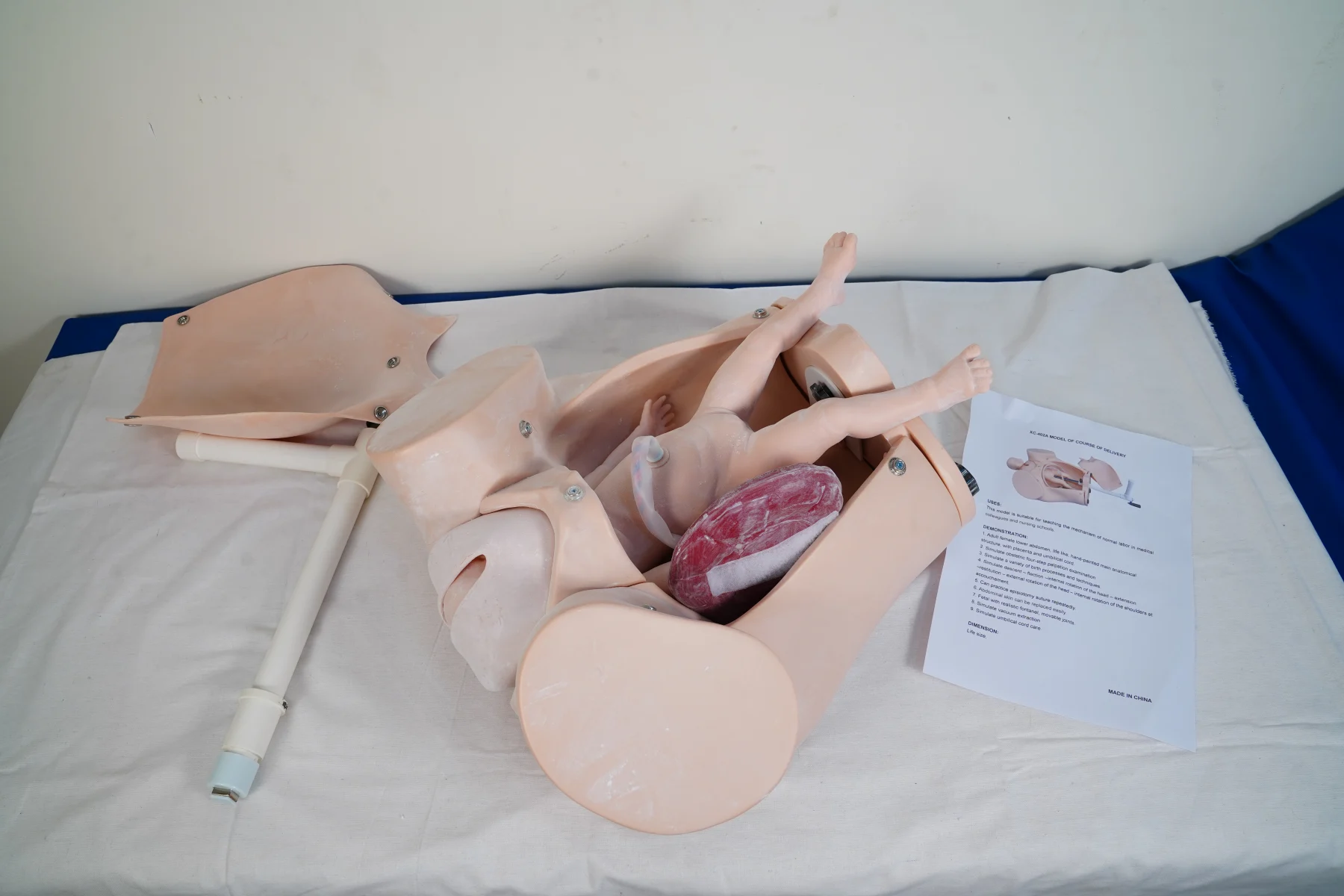 Model of Course of Delivery thumbnail 2