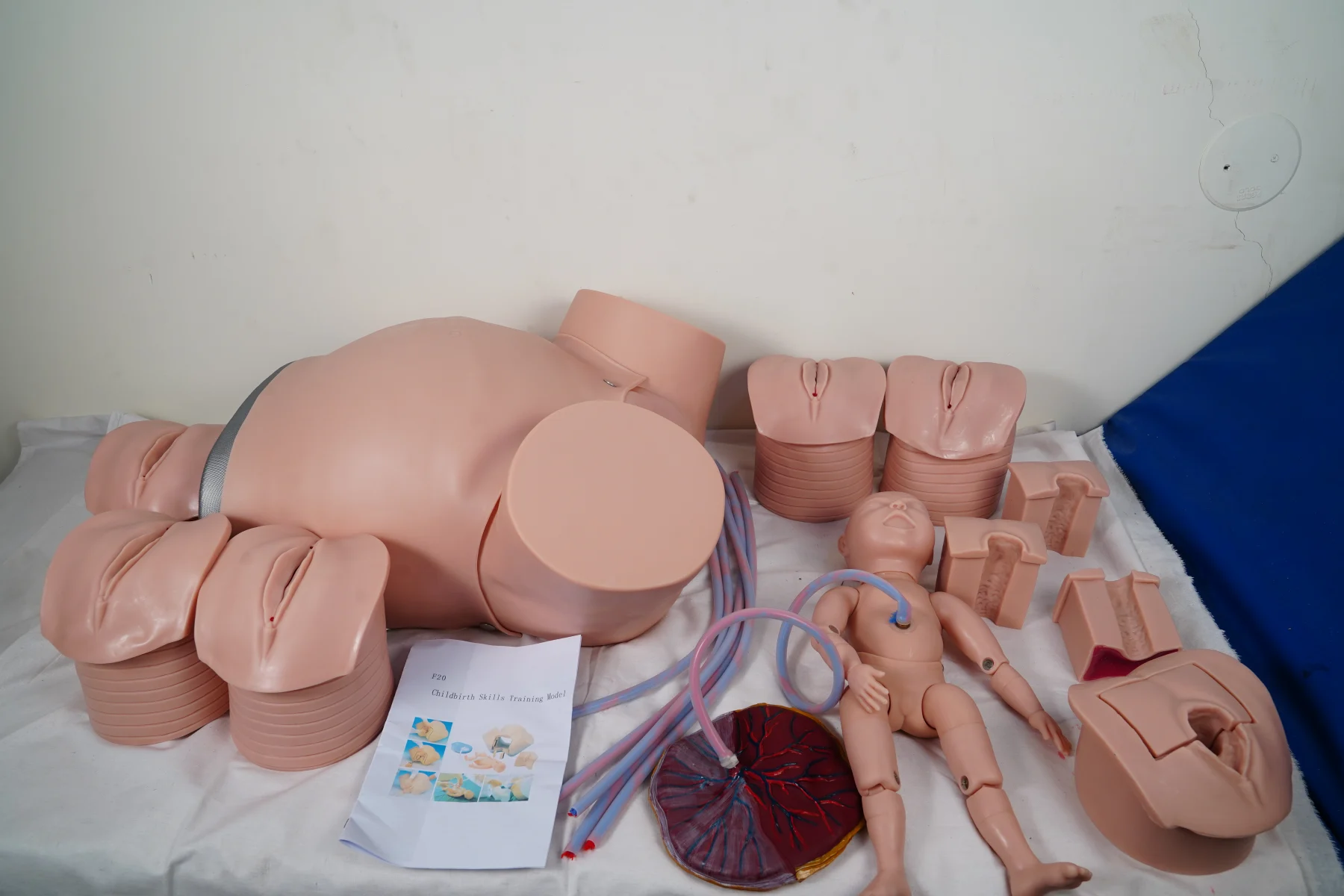 Childbirth Skills Training Model thumbnail 10