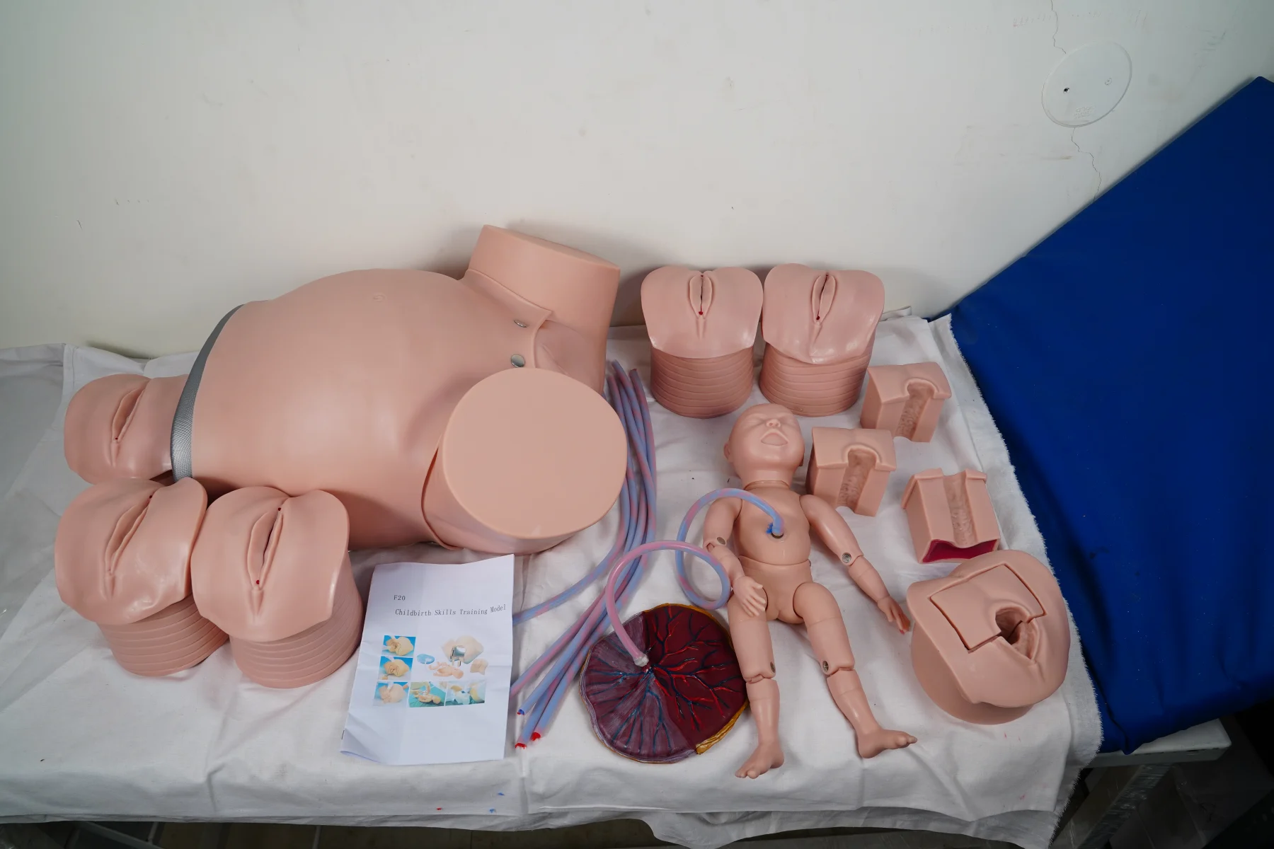 Childbirth Skills Training Model thumbnail 6