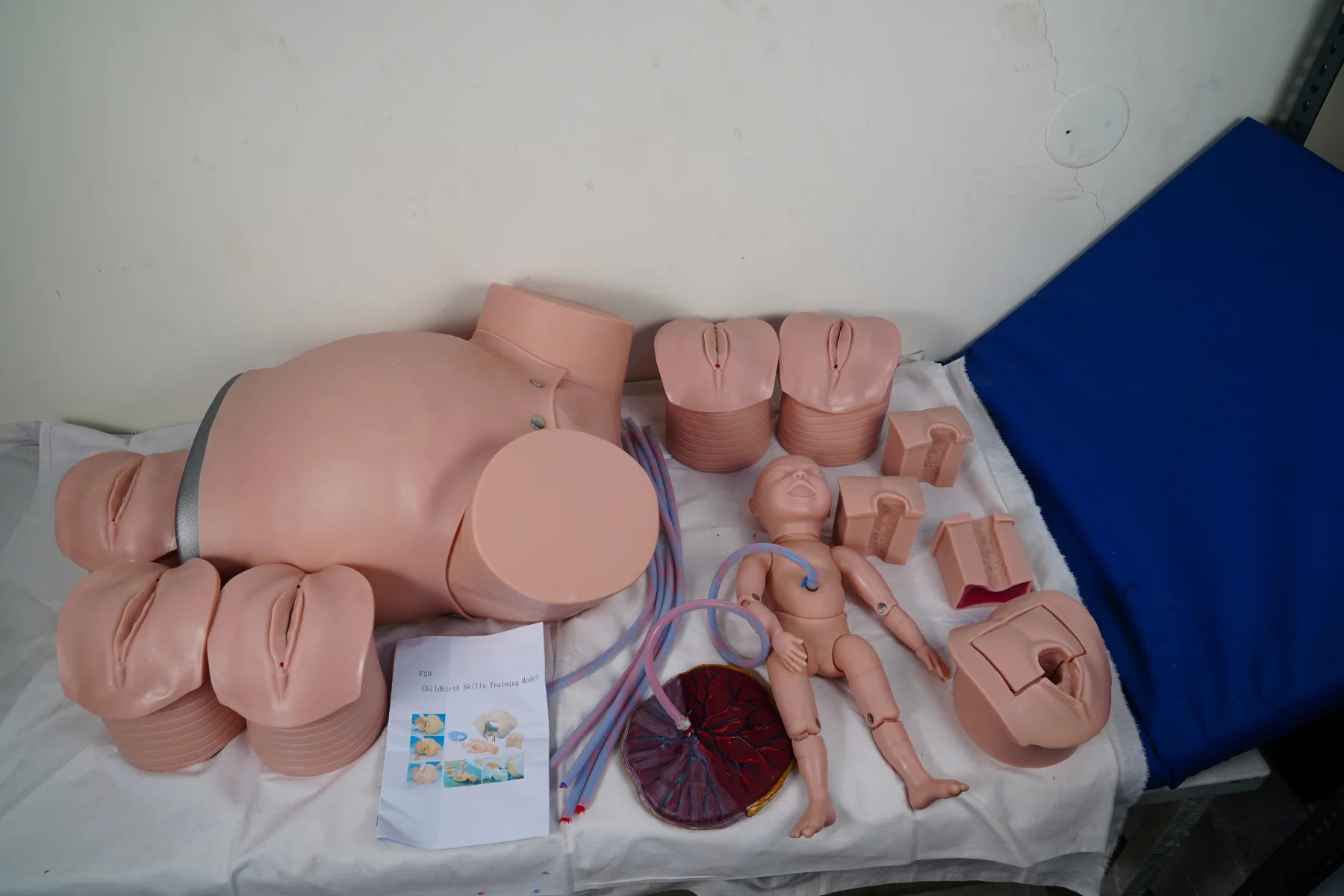 Childbirth Skills Training Model thumbnail 9