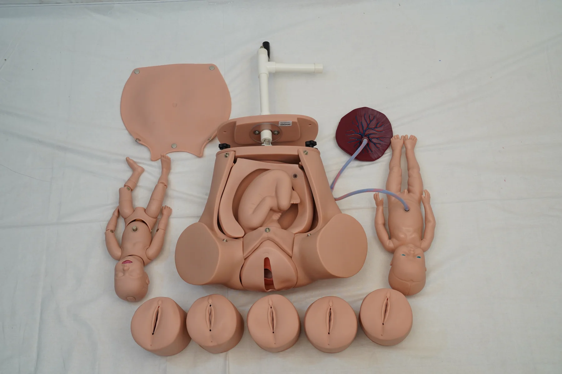 Advanced Abdominal Palpation and Delivery Mechanism thumbnail 2