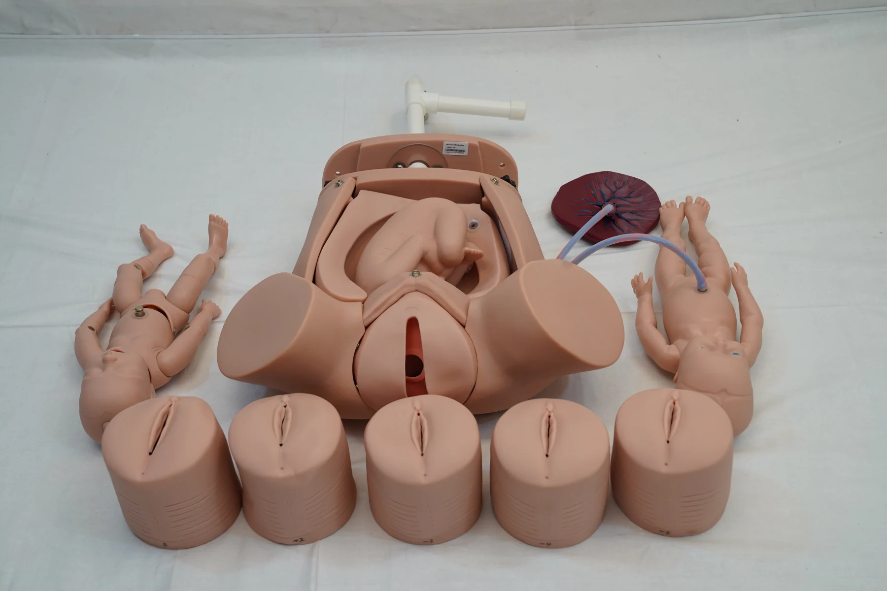 Advanced Abdominal Palpation and Delivery Mechanism thumbnail 3