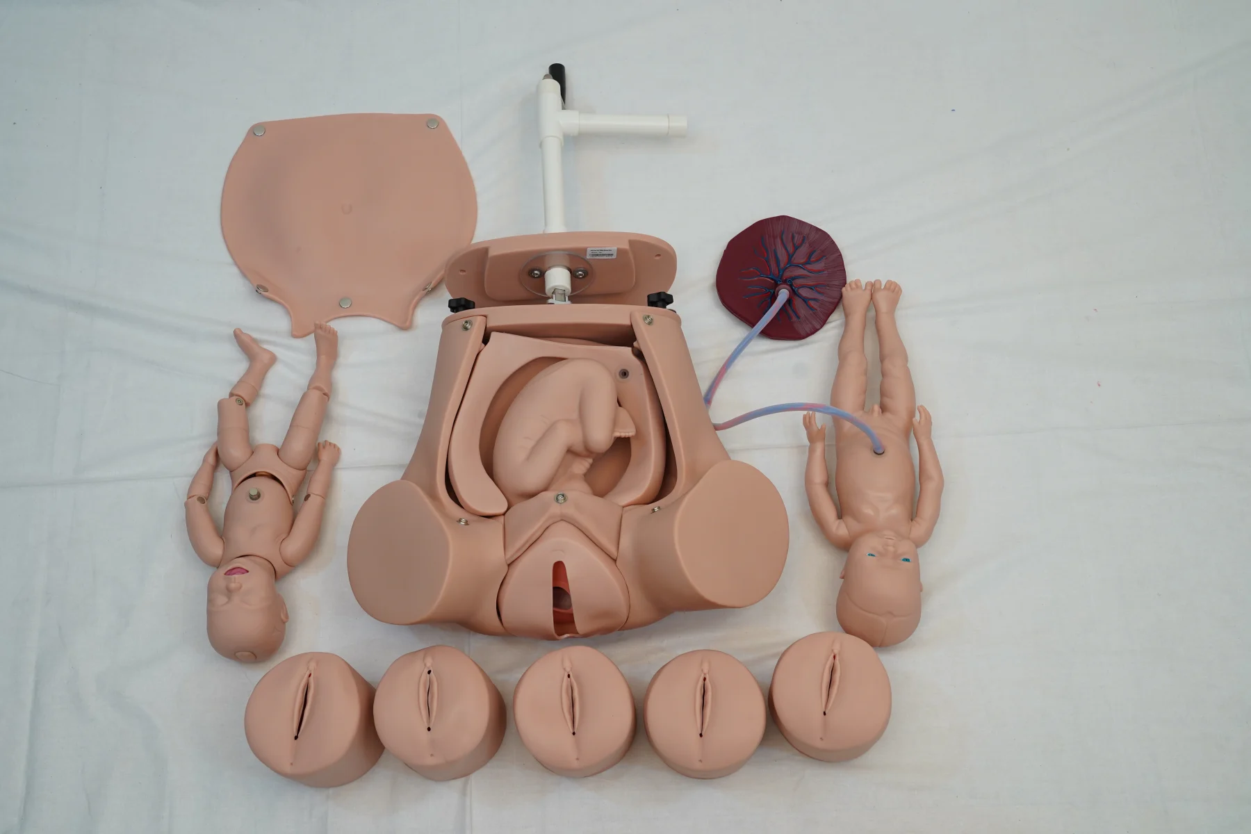 Advanced Abdominal Palpation and Delivery Mechanism thumbnail 4