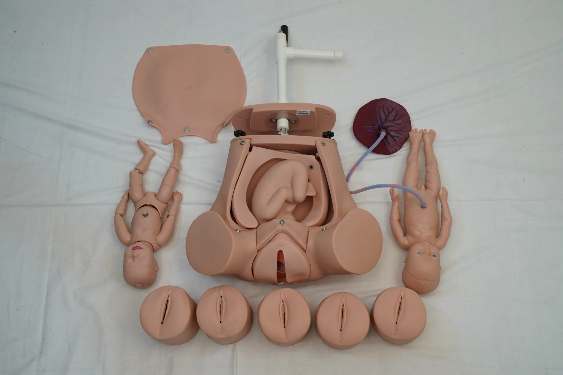 Advanced Abdominal Palpation and Delivery Mechanism thumbnail 5