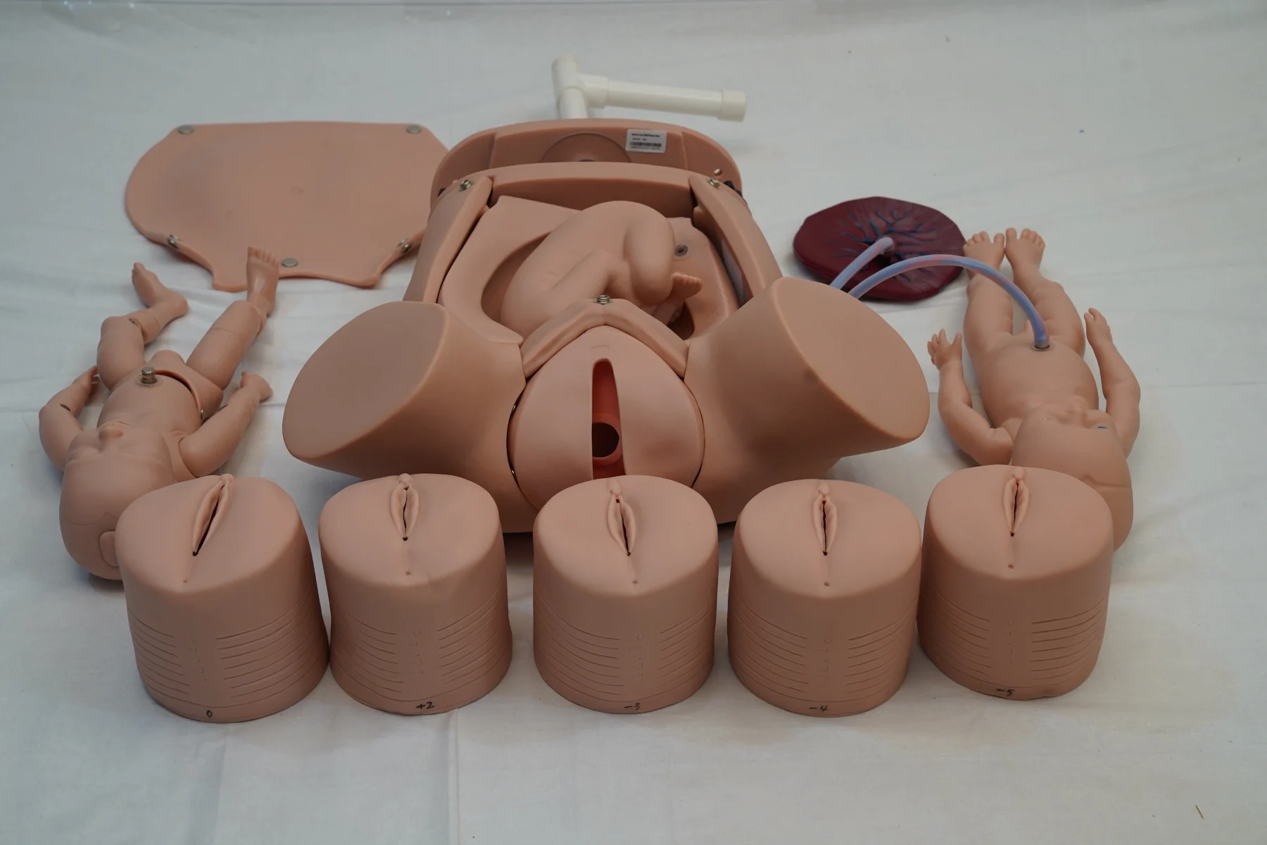 Advanced Abdominal Palpation and Delivery Mechanism thumbnail 7