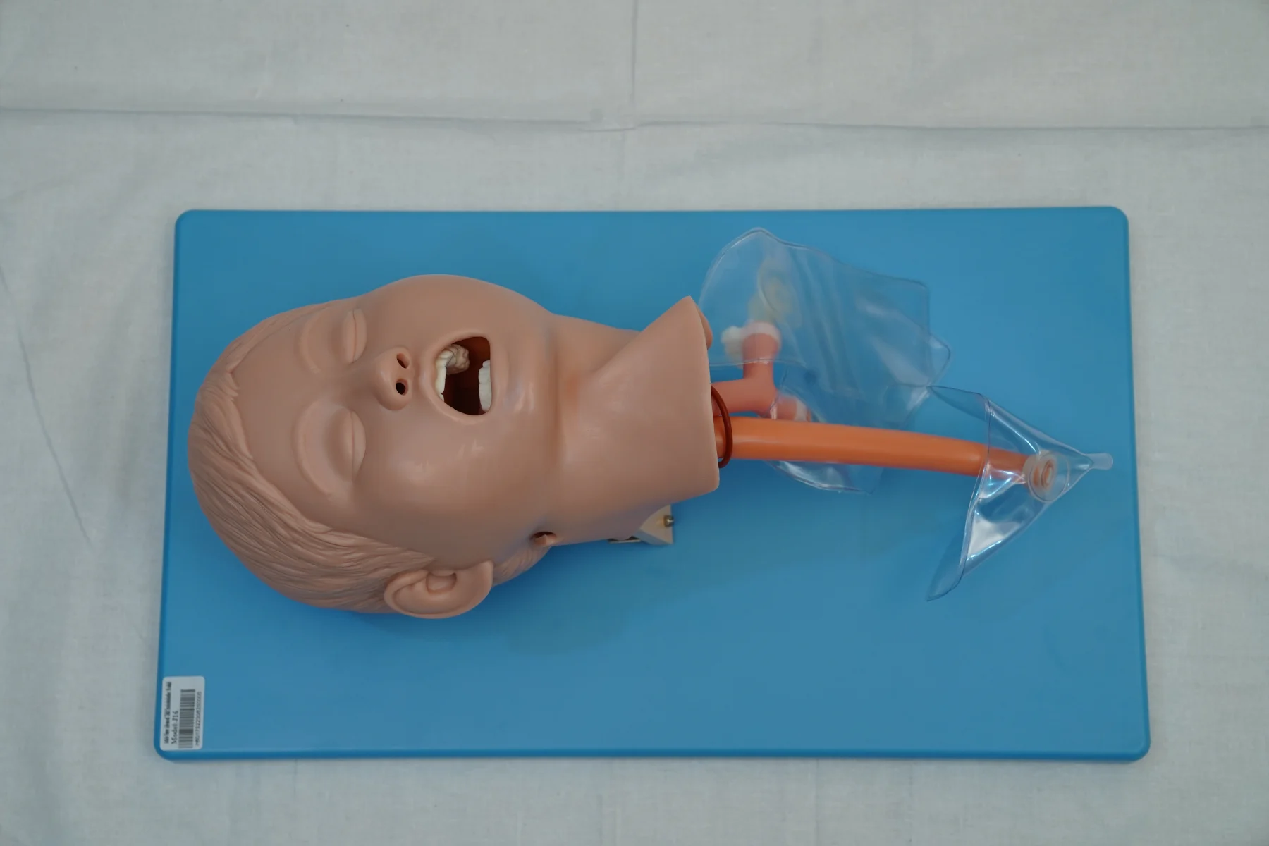 Advanced Child Tracheal Intubation Model thumbnail 4