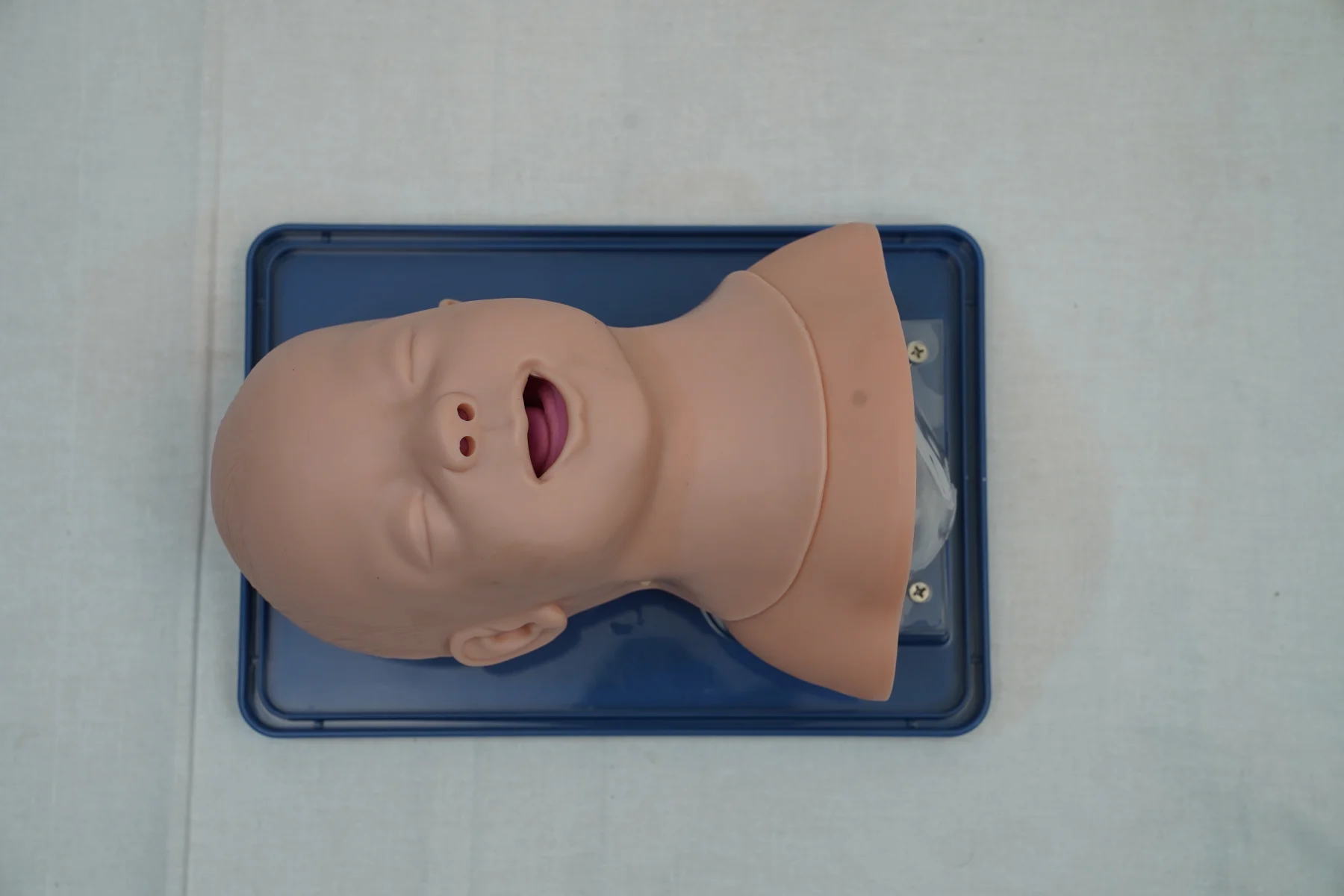 Infant Airway Management Model thumbnail 2